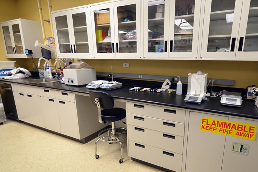 a lab bench and storage cabinets above