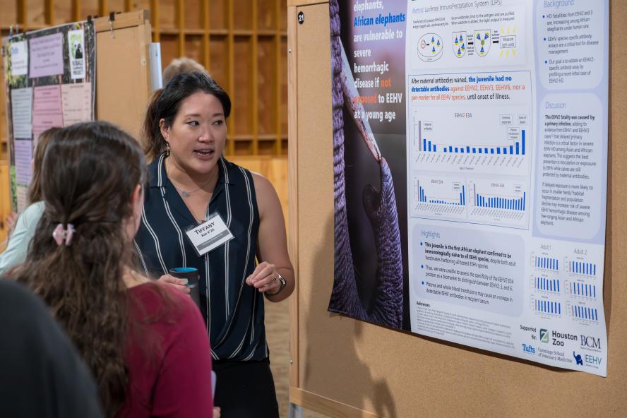 An individual with dark hair stands in front of a research poster, explaining it to another individual.